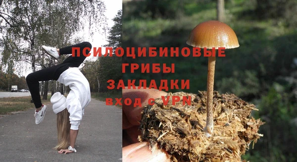 дживик Баксан
