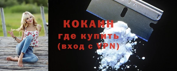 дурь Арсеньев